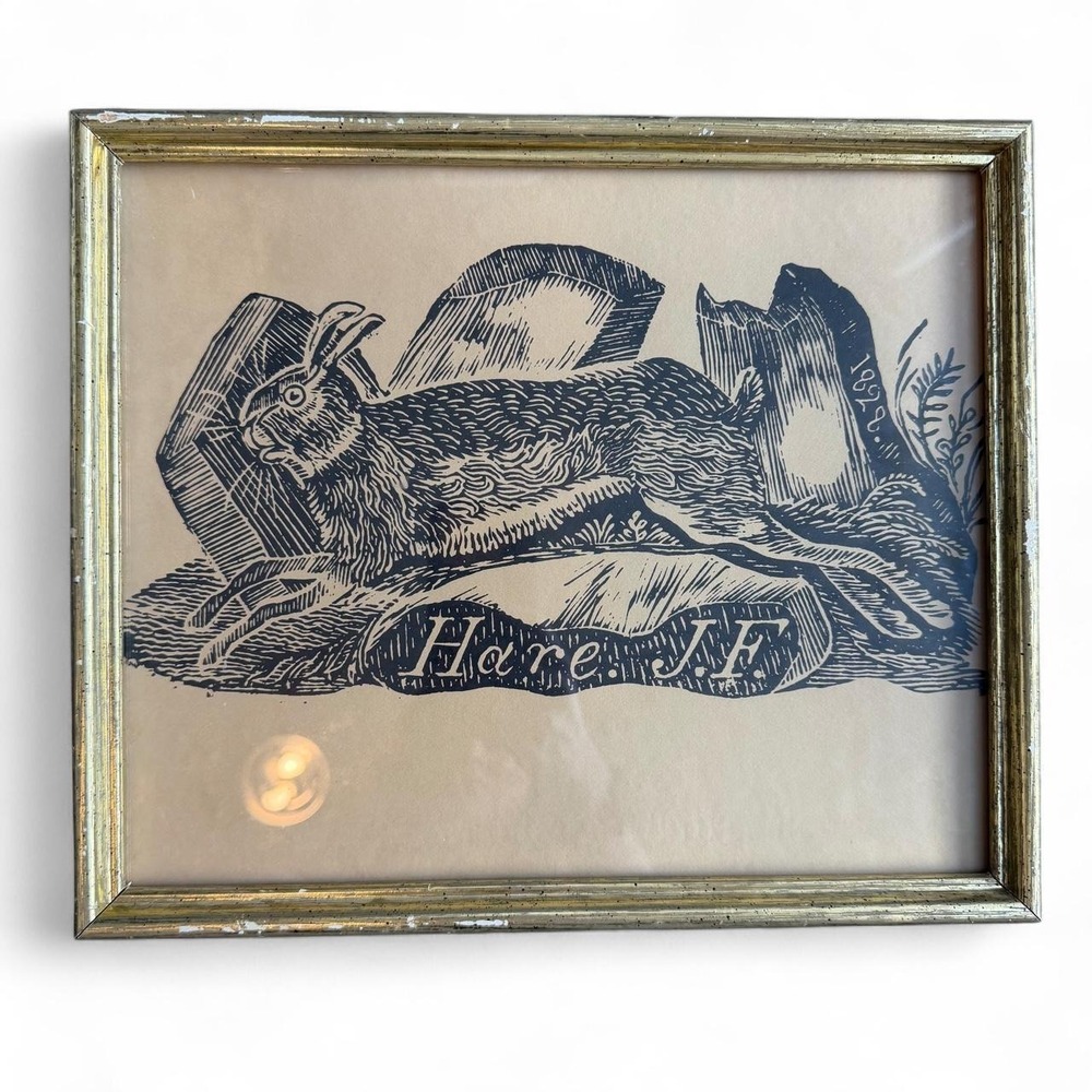 Vintage Hare Rabbit Jonathan Fisher Framed Wall Art
